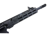 G&G SGR 556 AEG
