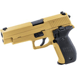 Raven - R226 (Gold) BLACK FRIDAY DEAL