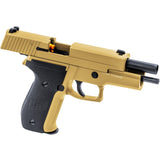 Raven - R226 (Gold) BLACK FRIDAY DEAL